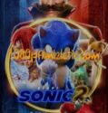 Kirpi Sonic 2 full izle